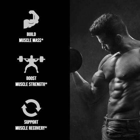 UpNourish Micronized Creatine Monohydrate Powder 400 G - Unflavored Vegan for Pre Workout, Muscle Building Pure Women and Men Instantized Suppleme...