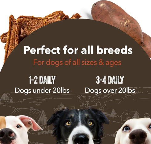 Gaines Family Farmstead Sweet Potato & Salmon Fillets for Dogs, All-Natural, Grain-Free, Healthy Dog Treats for All Ages & Breeds, Made in USA, 8 ...