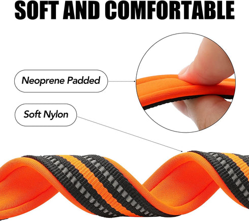 Reflective Dog Collar, Ultra Comfortable Soft Neoprene Padded Dog Collar, High Visibility Thick Nylon Dog Collars, Adjustable for Small/Medium/Lar...