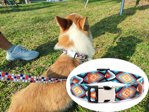 Dog Collar and Leash Set, Quick Release Buckle Soft Durable Print Puppy Collars Adjustable for Small Medium Large Pet Male Dogs Boy Cat Maya M...