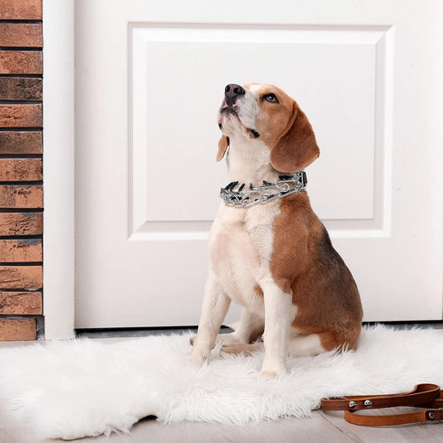 100 Pieces Prong Collar Covers Dog Prong Training Pet Collar Tips Vinyl Comfort Rubber Tips for Pet Dog Prong Collar to Increase Comfort, Black (2...