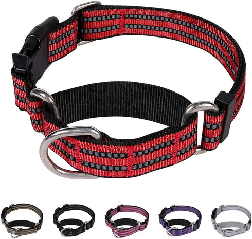 Martingale Dog Collars Reflective Nylon Dog Collar with Quick Release Buckle Adjustable Training No Slip Dog Collar (X-Small, Red)...