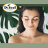 Difeel Essential Oils 100% Pure Tea Tree Oil 1 ounce (3-Pack)...