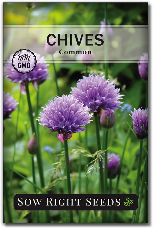Sow Right Seeds - 5 Herb Seed Collection for Planting - Genovese Basil, Chives, Cilantro, Italian Parsley, and Oregano to Plant and Grow a Home Ve...