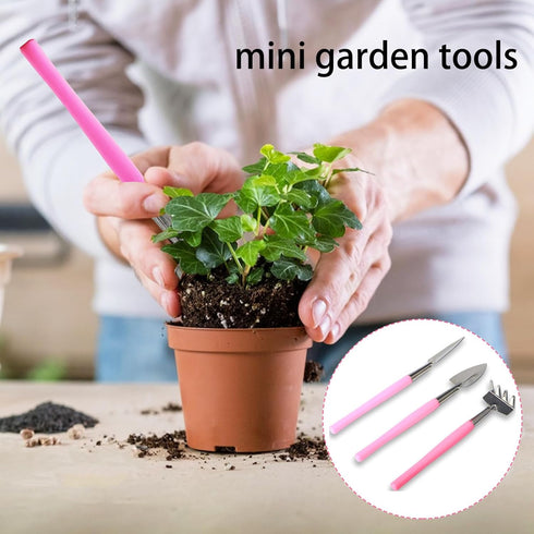 Mini Gardening Tools, 3Pcs Stainless Succulent Tools Kit Shovel Rake Trowel, 2 Colors Hand Shovel for Gardening for Indoor Small Plants, Succulent...