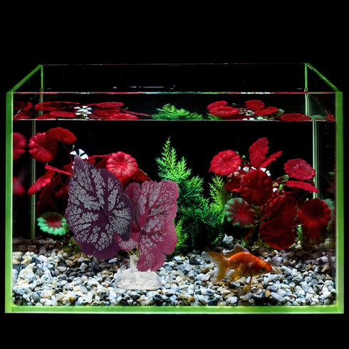 POPETPOP Betta Leaf 2pcs Beta Fish Leaf Bed Aquarium Purple Plant Leaf Hammock Suction Cup Fish Tank Betta Fish Leaf Lounger Landscape Decoration ...
