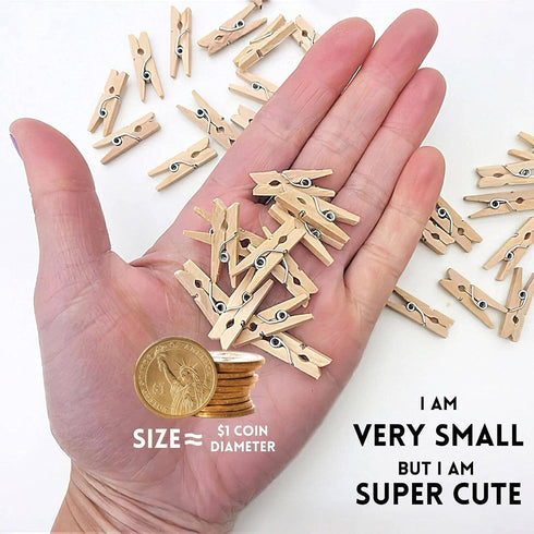 Sturdy Mini Clothes Pins for Photo, 150 Pcs 1 Inch Natural Wooden Clothespins with 33 FT Jute Twine, Small Clips for Crafts Display, Baby Shower G...