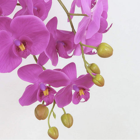 FagusHome 31" Artificial Silk Phalaenopsis Flowers 3 Pcs with 2 bundles Leaves Artificial Orchid Flowers Stem Plants in Purple Fake Butterfly Phal...