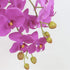 FagusHome 31" Artificial Silk Phalaenopsis Flowers 3 Pcs with 2 bundles Leaves Artificial Orchid Flowers Stem Plants in Purple Fake Butterfly Phal...