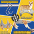 Dog Grooming Hammock,Dog Grooming Supplies,Dog Hammock,Dog Grooming Harness,Pet Grooming Hammock,Grooming Table,Dog Nail Clipper,Dogs Cats Groomin...