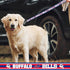NFL PET Leash Buffalo Bills Dog Leash, Medium Football Team Leash for Dogs & Cats. A Shiny & Colorful Cat Leash & Dog Leash Licensed by The NFL...