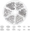 PH PandaHall 180pcs 304 Stainless Steel Bead Cap 6 Styles Muiti-Petal Round Filigree Flower Cup Shape Bead Spacer Beads for Earring Bracelet Neckl...