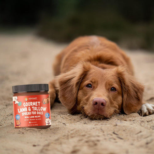 Visionary Pet Foods Meat Spread for Dogs - Lamb Recipe - The Healthy Dog Treat - Alternative to Dog Peanut Butter - Use on a Dog Food Mat - Dog Tr...