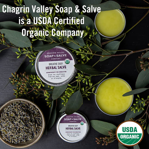 Chagrin Valley Soap & Salve Baby Shampoo Baby Soap Bar from Oat, Honey & Goat Milk - Unscented & Moisturizing - For Babies Sensitive Dry Skin & Ec...