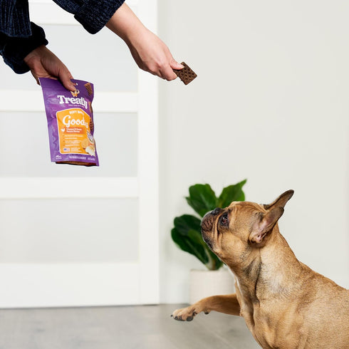Soft Baked Goodies Chicken & Sweet Potato w/Collage Dog Treats - 5oz/1 Pack...