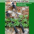 2024 Upgrade Weed Puller Tool with 4 Teeths - Multifunctional Hand Weeder for Garden - Durable & Portable Garden Weeding Tool for Vegetable Garden...