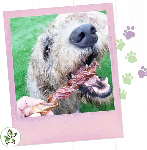 Nature Gnaws - Beef Jerky Springs for Dogs - Premium Natural Beef Gullet Sticks - Simple Single Ingredient Tasty Dog Chew Treats - Rawhide Free 7-...