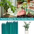 Green Bamboo Stick Plant Pile Indoor Garden Flower Plant Rack is Suitable for Bamboo Garden Stick, Bamboo Label Garden Stick Potted Plants, Crafts...