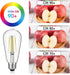 Vintage LED Edison Bulbs, 6W, Equivalent 60W, High Brightness Daylight 5000K, ST58 Antique LED Filament Bulbs with 90+ CRI, E26 Medium Base, Dimma...