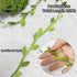 269ft Leaf Ribbon, Baby Shower Decorations Artificial Vines Leaf String Trim Ribbon for Decorative Jungle Wild Plant Green Home Wedding Party Ball...
