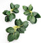 Floroom Artificial Green Leaves 35pcs Bulk Faux Silk Greenery Fake Rose Flower Leaves for DIY Wedding Bouquets Bridal Shower Centerpieces Home Dec...