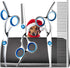 Dog Grooming Scissors with Safety Round Tips?Professional 5 in 1 Dog Grooming Kit ?Dog Scissors for Grooming Sharp and Durable, DGS001...