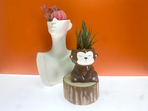 Cute Animal Ceramics Planter Small Succulent Pot Cartoon Shaped Plant Pot for Mini Plants Flower Cactus, Smooth Shiny Ceramic - Plants Not Include...