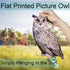 Owl to Keep Birds Away, 3 Pack Bird Scare Owl Fake Owl, Reflective Hanging Bird Decoration, Effective Bird Control Device to Keep Birds Pigeon Woo...