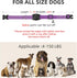 Airtag Dog Collar, 100% Waterproof Integrated Apple Air Tag Dog Collars, Reflective GPS Dog Collar with Hard PC AirTag Holder Case for Small Mediu...