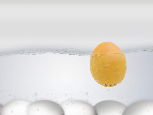 BrainStream BeepEgg Basic Egg Timer - Plays Tunes When Eggs are Ready, Works with Any Egg Size, Temperature-Sensitive for Precise Cooking, Made in...