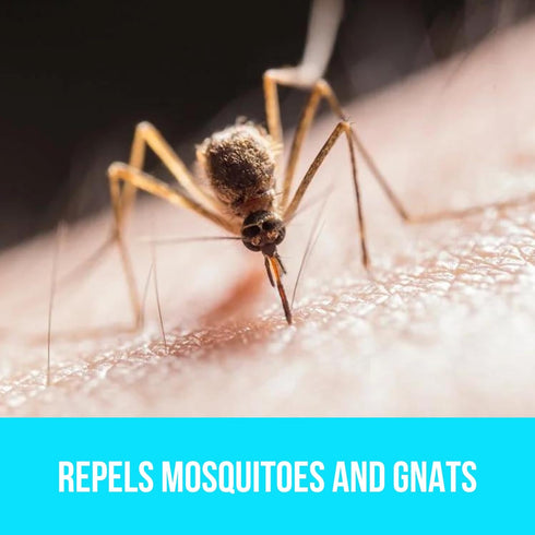BUGGINS Original - Insect Repellent - Mosquitoes & Gnats, DEET Free, Non-Greasy - 6 oz Continuous Spray Can...
