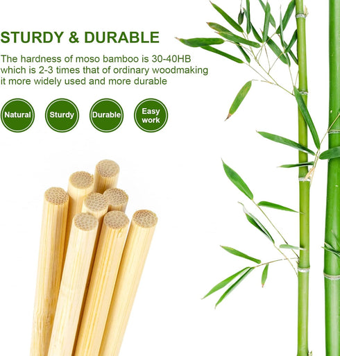 30PCS Wooden Dowel Rods, 3/8 x 12 Inch Round Unfinished Bamboo Dowel Rods, Wood Crafts Sticks Doweling Rods for Crafts and DIYers Arts Projects...