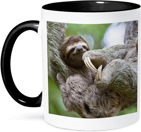 3dRose Brown-Throated Sloth Wildlife, Corcovado Costa Rica-SA22 JGS0021-Jim Goldstein Two Tone Mug, 11 oz, Black/White...