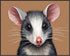 Posterizer 1 pcs- Portrait of a possum with pastel orange background-Art for Animal Lovers- Gift for Men Women Entrepreneur Teens-Decor for Home &...