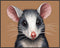 Posterizer 1 pcs- Portrait of a possum with pastel orange background-Art for Animal Lovers- Gift for Men Women Entrepreneur Teens-Decor for Home &...
