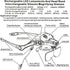 Magnifying Glasses, USB Charging Headband Magnifier Head Mount Magnifying Glasses with LED Light for Jewelry Craft Watch Hobby 5 Lenses 1.0X 1.5X ...