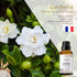 Gardenia Essential Oil, Esslux Aromatherapy Essential Oils for Diffuser, Massage, Soap, Candle Making, Perfume, 30 ml...