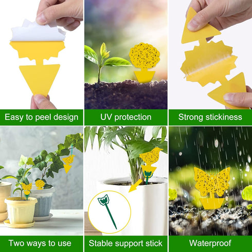 Stingmon 54 Pack Fruit Fly Trap for Indoors, Gnat Traps for House Indoor, Fungus Gnat Killer Indoor & Outdoor Sticky Traps for Plants, Mosquitoes,...