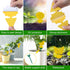 Stingmon 54 Pack Fruit Fly Trap for Indoors, Gnat Traps for House Indoor, Fungus Gnat Killer Indoor & Outdoor Sticky Traps for Plants, Mosquitoes,...