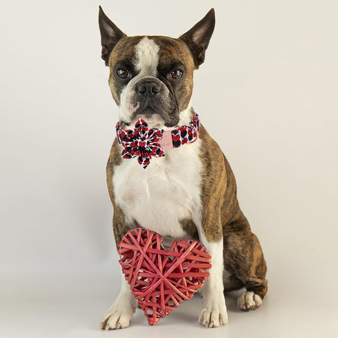 Valentine Dog Collar for Large Dog with Flower Tie, Red&Black Love Heart Male Dog Collar with Safety Metal Buckle Adjustable Puppy Collars for Sma...