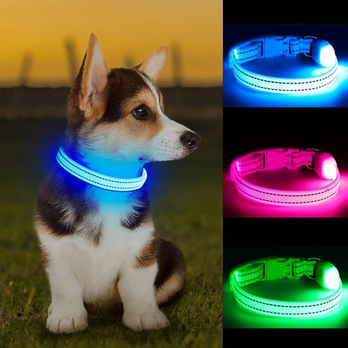 Light Up Dog Collar at Night, Led Dog Collar Adjustable, Lighted Dog Collar Rechargeable Waterproof, Dog Lights for Night Walking, Glow in The Dar...