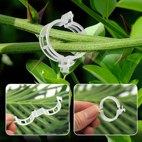 50 PCS Secured Plastic Plant Clip,Climbing Plant Support Garden Clips,For Support,Grape Vine,Tomato Vine, Vegetables Plants,Vine to Grow Upright a...