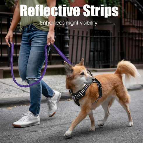 BUMBIN 6Ft Dog Leash Large Dogs, Bungee Dog Leash with 2 Handles, Heavy Duty Dog Leashes for Medium Small Dogs, No Pull Shock Absorbing Dog Leash ...