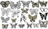 Assorted Butterfly Charm Pendant Connector for DIY Jewelry Making Findings(21pcs,Big Size)...