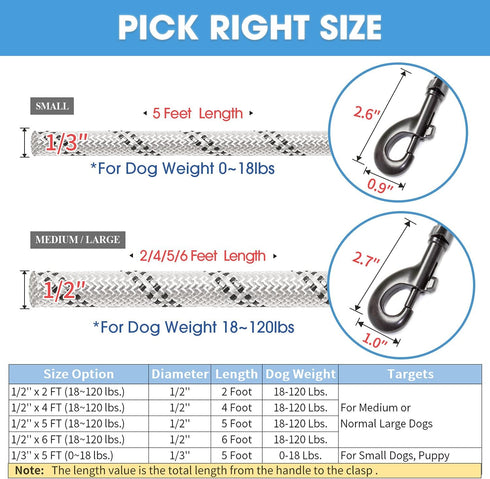 BAAPET 2/4/5/6 FT Dog Leash with Comfortable Padded Handle and Highly Reflective Threads for Small Medium and Large Dogs (6FT-1/2'', Silver)...