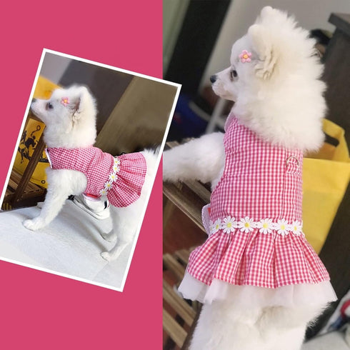 Outdoor Pet Clothes Dog Harness Dress Poodle Bichon Frise Pomeranian Schnauzer Dog Clothing Princess Costumes Pet Skirt Dropship (L,Pink)...