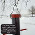 Songbird Essentials Finches Favorite Thistle Feeder, Red 12 Inch Single Tube Bird Feeder, 1 Cup Capacity Hanging Bird Feeder for Thistle Seed [Pac...
