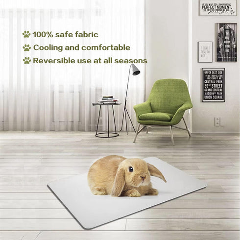 Rabbit Cooling Pad, 11.8x7.9 in Hamster Cooling Mat Pet Cool Plate for Rabbit Bunny Hamster Guinea Pig & Other Small Pets Stay Cool This Summer - ...