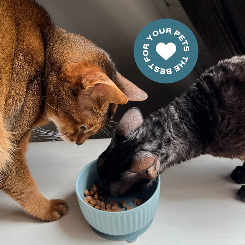 Cat Bowls with Suction Cup 13 Oz — Elevated Silicone Pet Dish with Non-Slip Bottom for Dry Food, Wet Food and Water (Soft pink)...