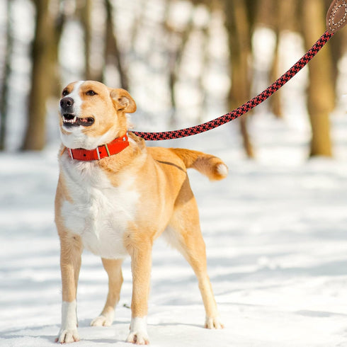 Mile High Life | Mountain Climbing Dog Rope Leash with Heavy Duty Metal Sturdy Clasp | Genuine Leather Tailored Connection with Strong Stitches (R...
